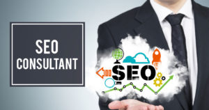 Seo consultant 1
