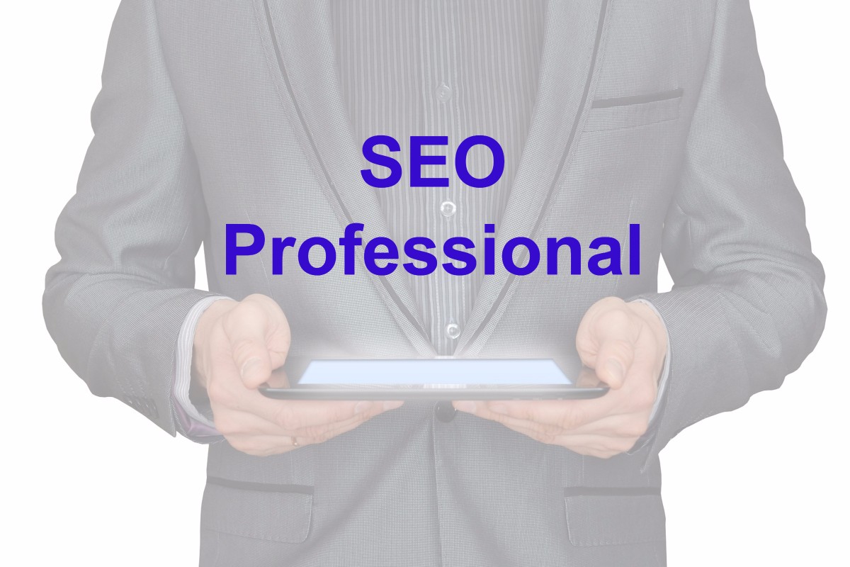 Seo professional banner