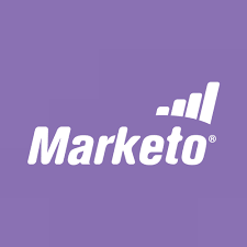 Google analytics case studies