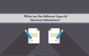 Types of directory submission