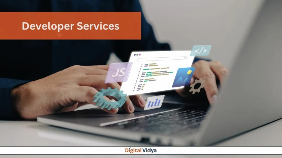 Developer services in delhi