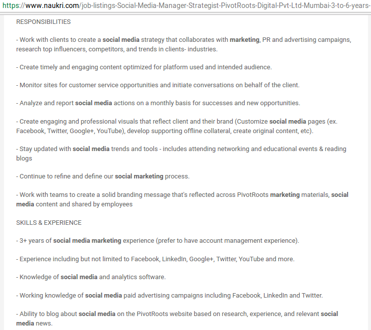 Social media consultant
